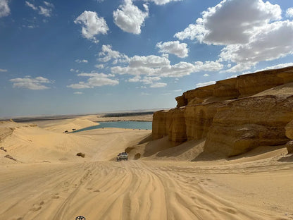 De Cairo: Excursão Particular Guiada de um Dia ao Oásis de Fayoum com Safari no Deserto