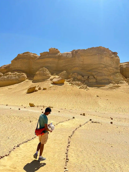De Cairo: Excursão Particular Guiada de um Dia ao Oásis de Fayoum com Safari no Deserto