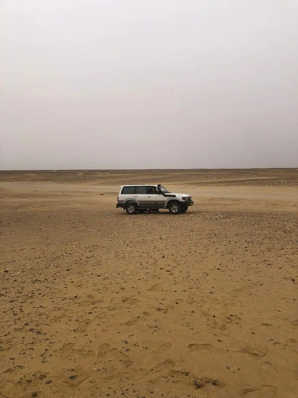 De Cairo: Excursão Particular Guiada de um Dia ao Oásis de Fayoum com Safari no Deserto