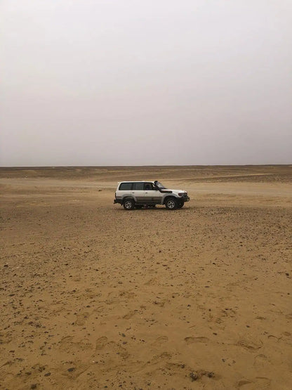 De Cairo: Excursão Particular Guiada de um Dia ao Oásis de Fayoum com Safari no Deserto
