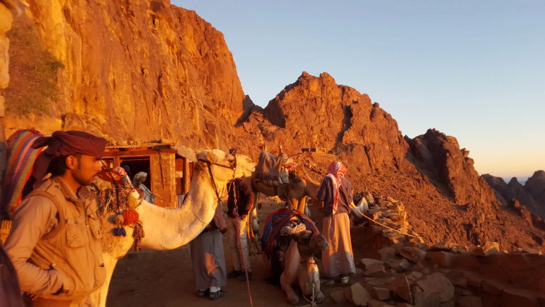 Ab Kairo: Private Übernachtungstour zum Katharinenkloster und Sonnenaufgangstour am Berg Sinai