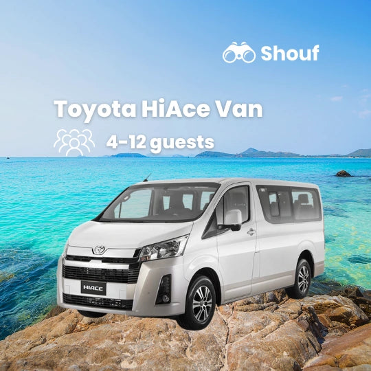 Из Каира: аренда частного автомобиля или микроавтобуса с водителем в Шарм-эль-Шейхе