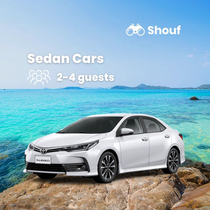 Из Каира: аренда частного автомобиля или микроавтобуса с водителем в Шарм-эль-Шейхе