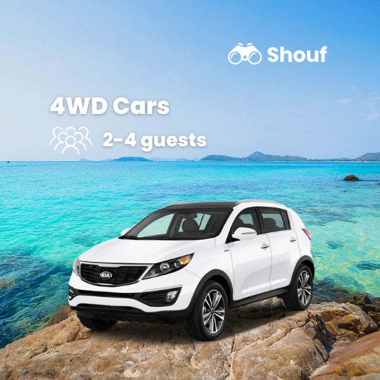 Из Каира: аренда частного автомобиля или микроавтобуса с водителем в Шарм-эль-Шейхе