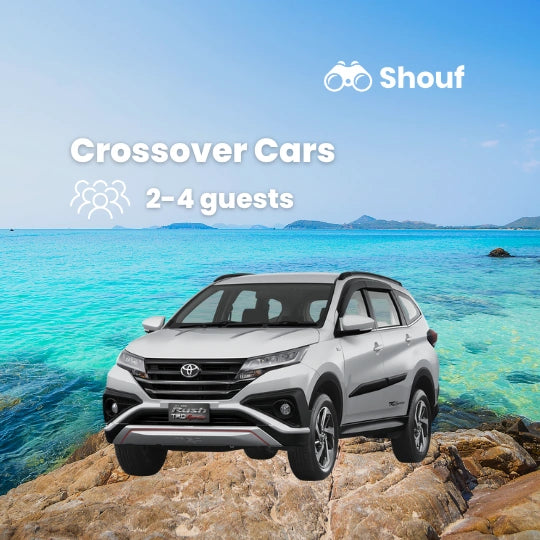 Из Каира: аренда частного автомобиля или микроавтобуса с водителем в Шарм-эль-Шейхе