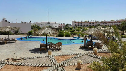 From Cairo or Alexandria: 3-Days Guided Siwa Oasis Tour