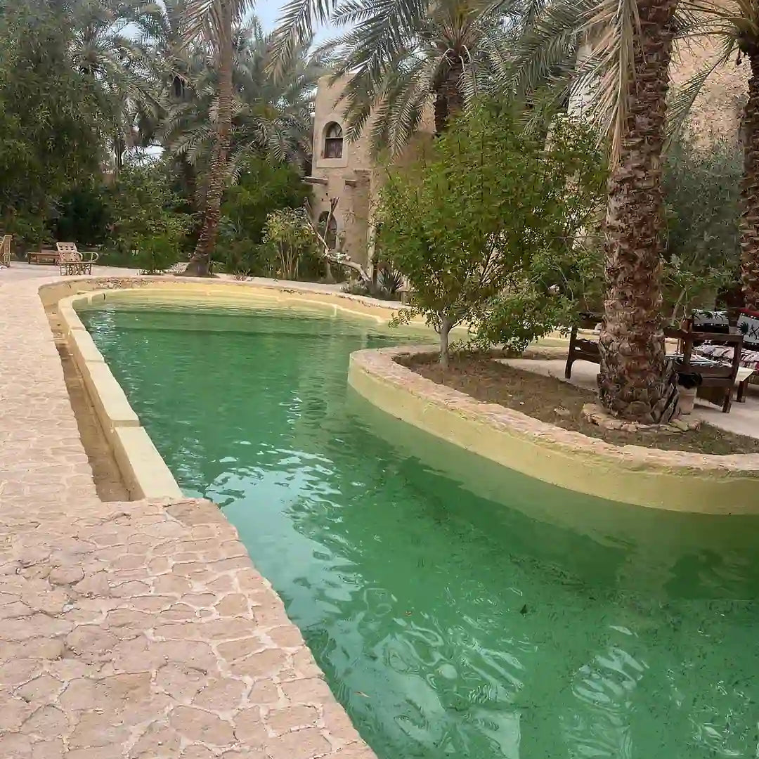 From Cairo or Alexandria: 3-Days Guided Siwa Oasis Tour