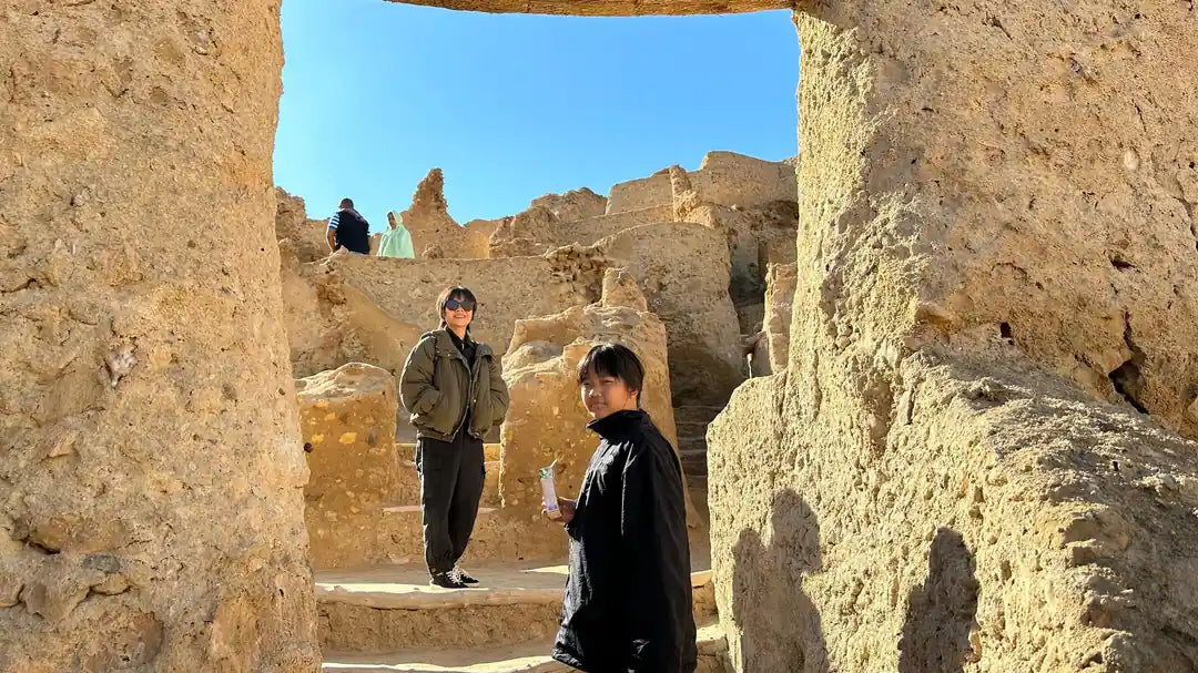 From Cairo or Alexandria: 3-Days Guided Siwa Oasis Tour
