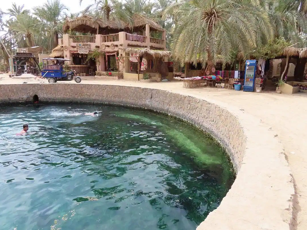 From Cairo or Alexandria: 3-Days Guided Siwa Oasis Tour