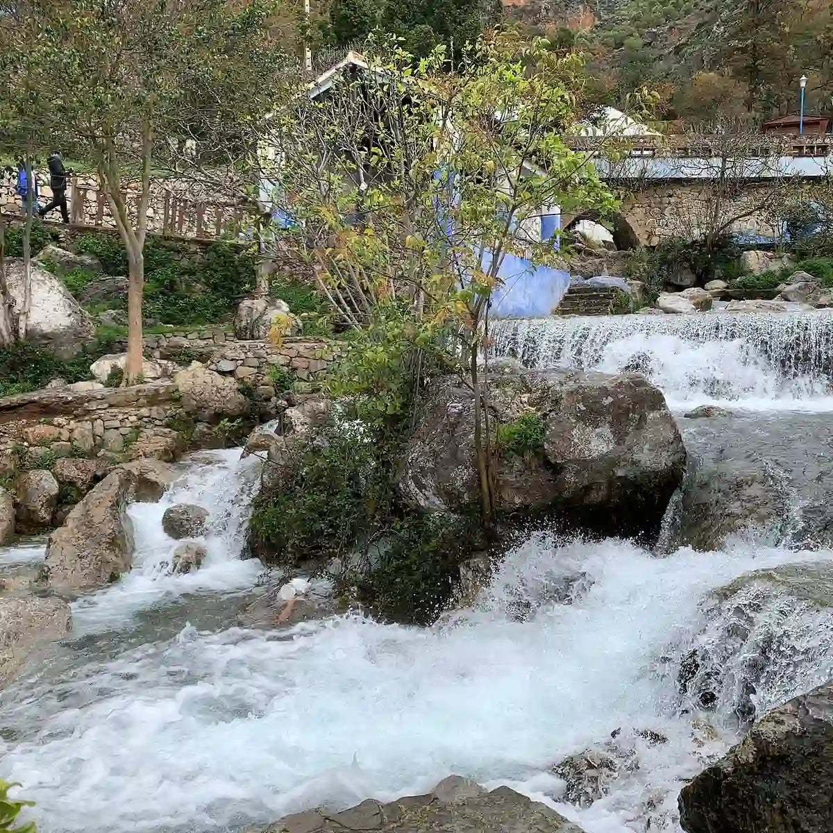 From Casablanca: Escursione di un giorno a Chefchaouen in treno