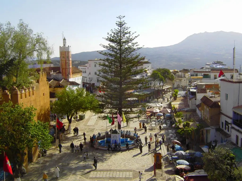From Casablanca: Escursione di un giorno a Chefchaouen in treno