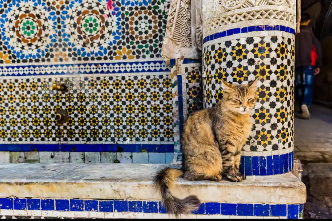 From Casablanca: Tagesausflug nach Fès mit Medina-Führung und Mittagessen