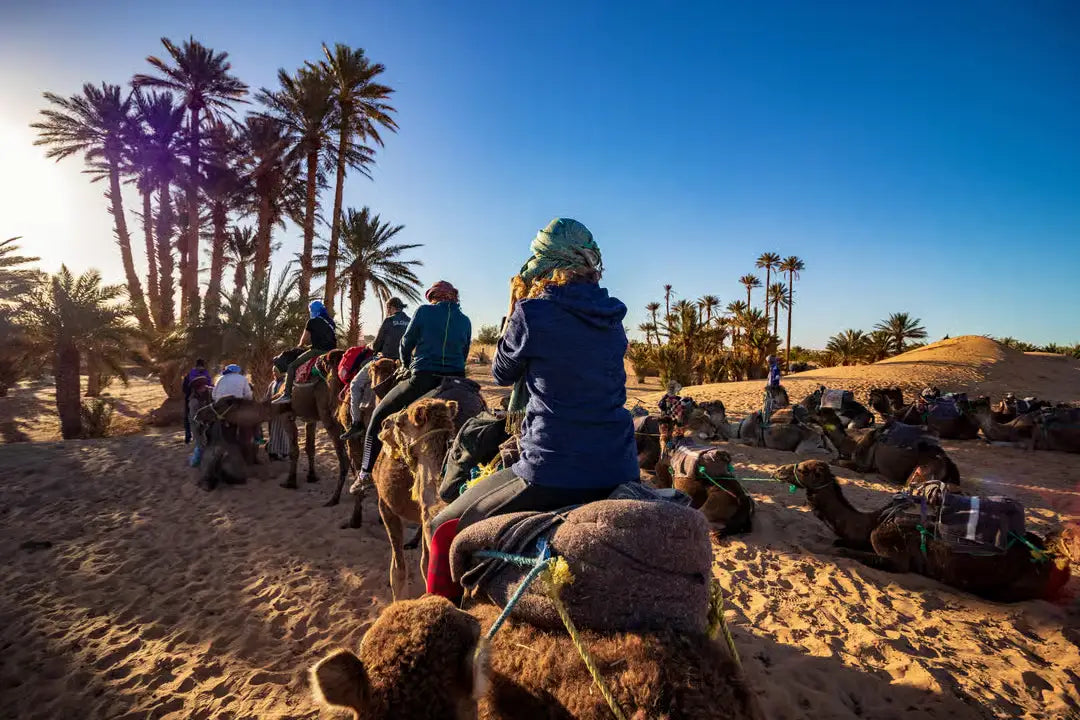 From Casablanca: Kamelridning i Marrakech og byrundtur med hest og vogn