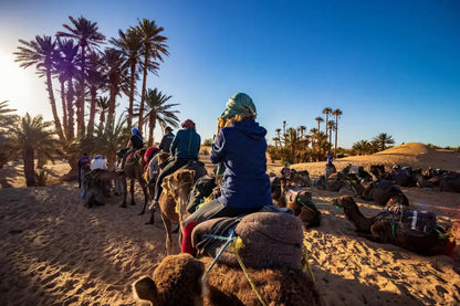 From Casablanca: Kamelridning i Marrakech og byrundtur med hest og vogn