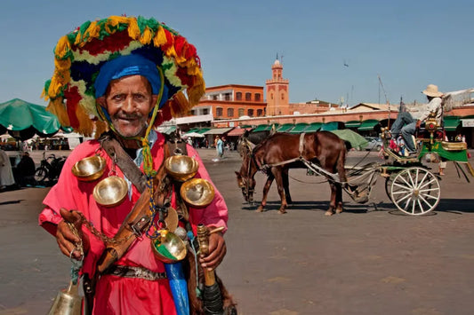 From Casablanca: giro in cammello a Marrakech e tour della città in carrozza a cavalli