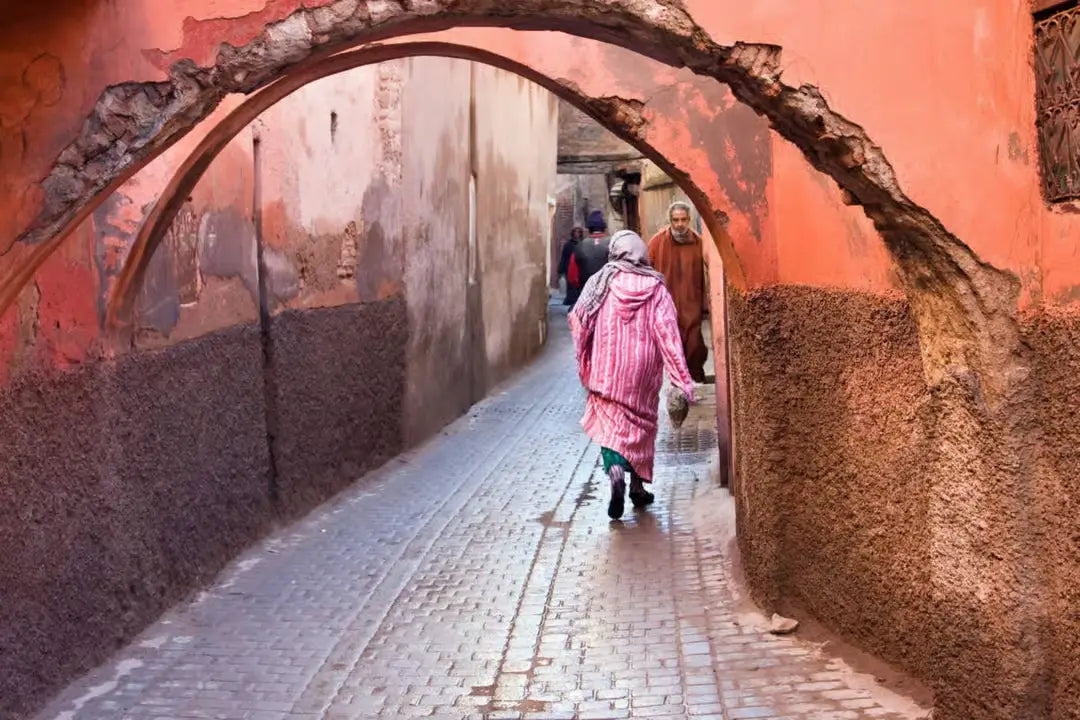From Casablanca: Excursie de o zi la Marrakech și plimbare cu cămila