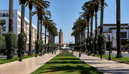 From Casablanca: Halbtagestour durch Rabat mit Stadtführung
