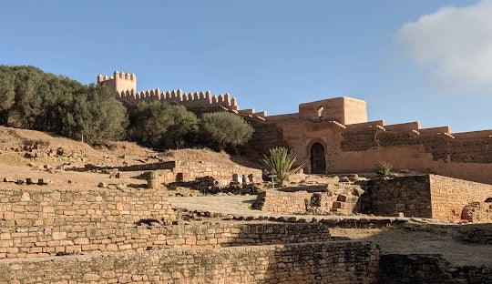 From Casablanca: Halbtagestour durch Rabat mit Stadtführung
