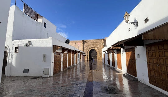 From Casablanca: Halbtagestour durch Rabat mit Stadtführung
