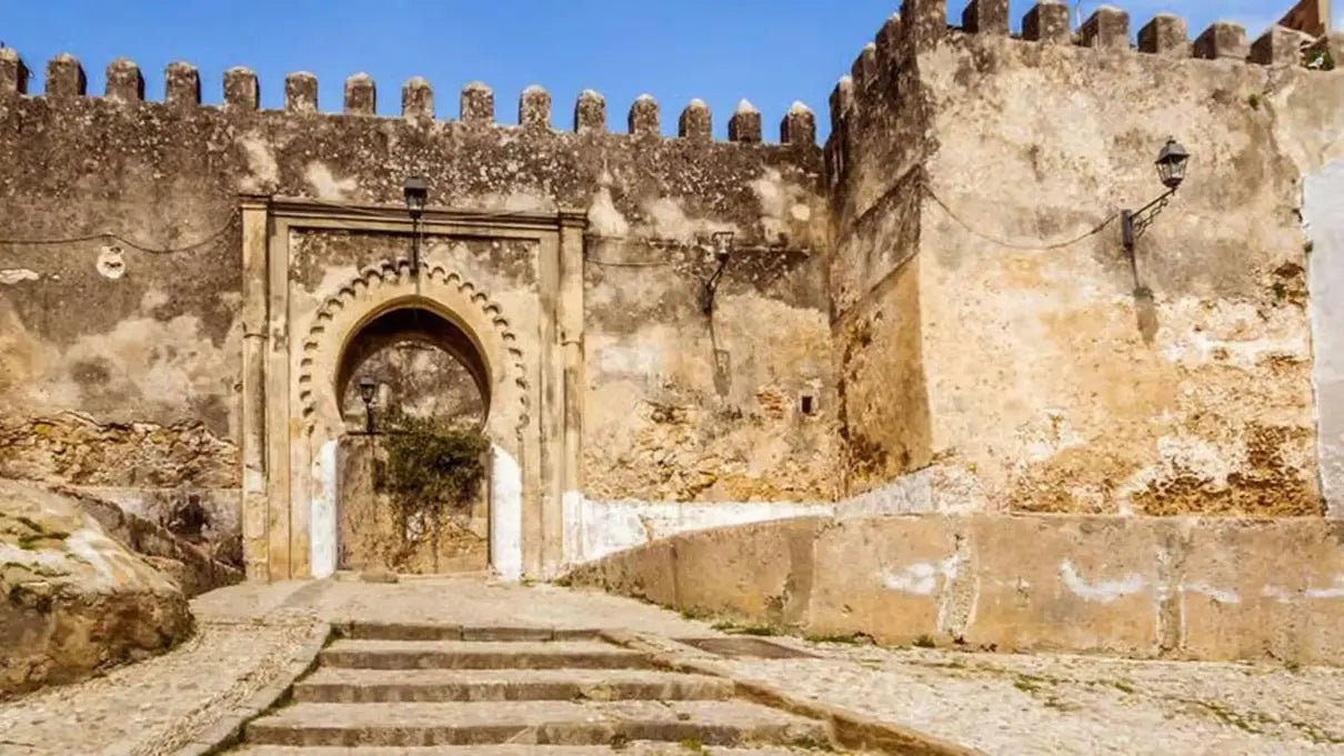 From Casablanca: Tangier begeleide stadsdagtrip