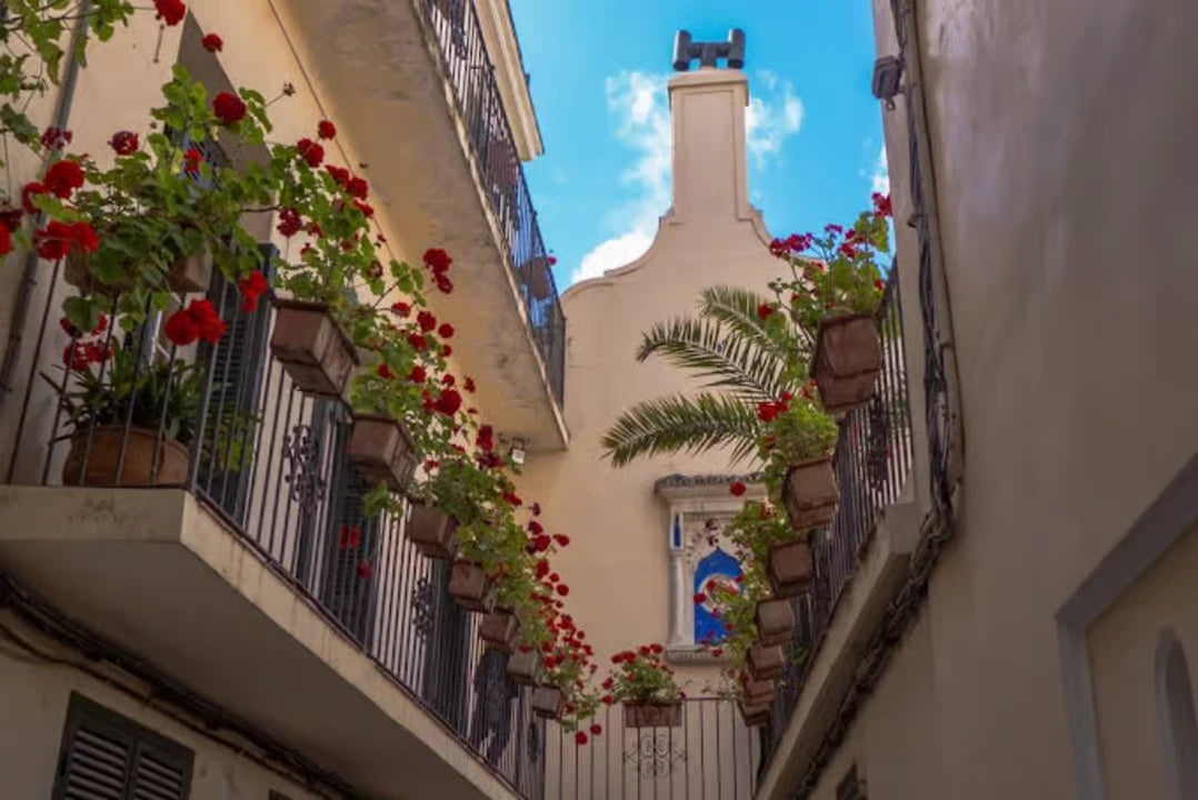 From Casablanca: Tangier begeleide stadsdagtrip