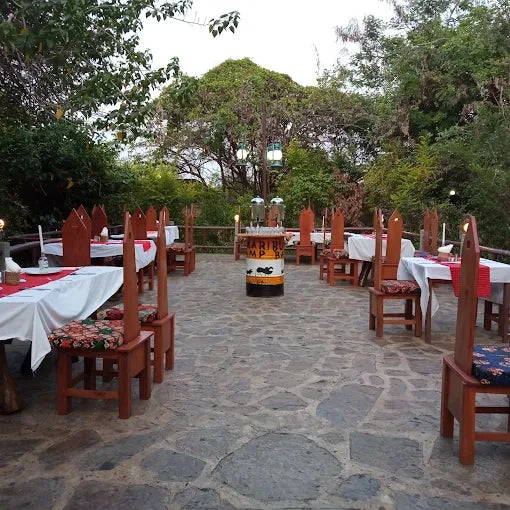From Dar es Salaam : excursion safari de 2 jours au parc national de Mikumi