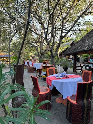 From Dar es Salaam : excursion safari de 2 jours au parc national de Mikumi