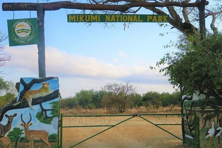 From Dar es Salaam : excursion safari de 2 jours au parc national de Mikumi