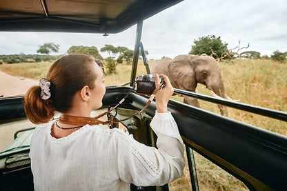 From Dar es Salaam : excursion safari de 2 jours au parc national de Mikumi
