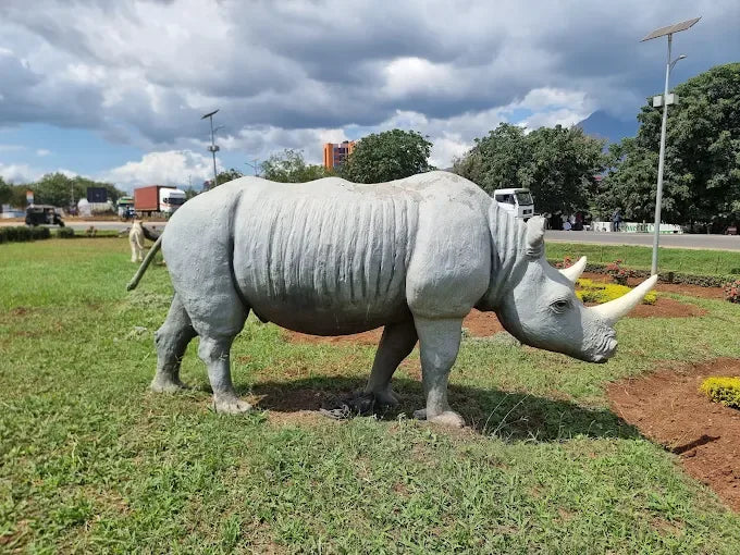 Från Dar es Salaam: Privat dagsturssafari till Mikumi nationalpark