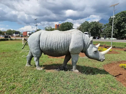 Från Dar es Salaam: Privat dagsturssafari till Mikumi nationalpark