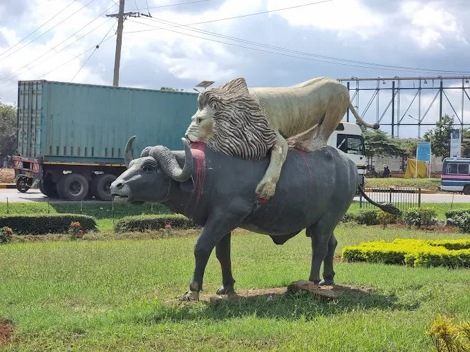 Från Dar es Salaam: Privat dagsturssafari till Mikumi nationalpark