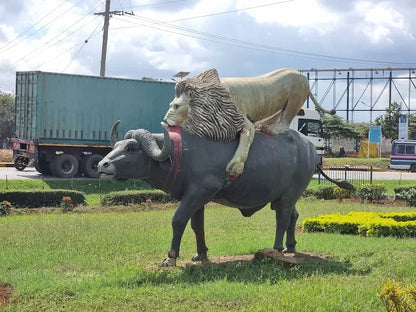 Från Dar es Salaam: Privat dagsturssafari till Mikumi nationalpark