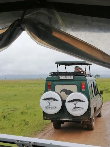 Från Dar es Salaam: Privat dagsturssafari till Mikumi nationalpark