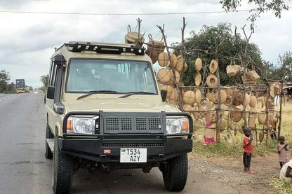Från Dar es Salaam: Privat dagsturssafari till Mikumi nationalpark