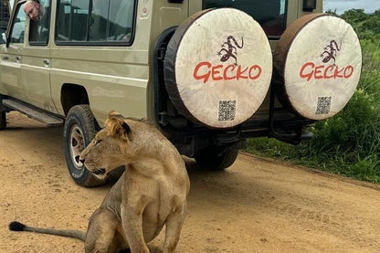 Från Dar es Salaam: Privat dagsturssafari till Mikumi nationalpark