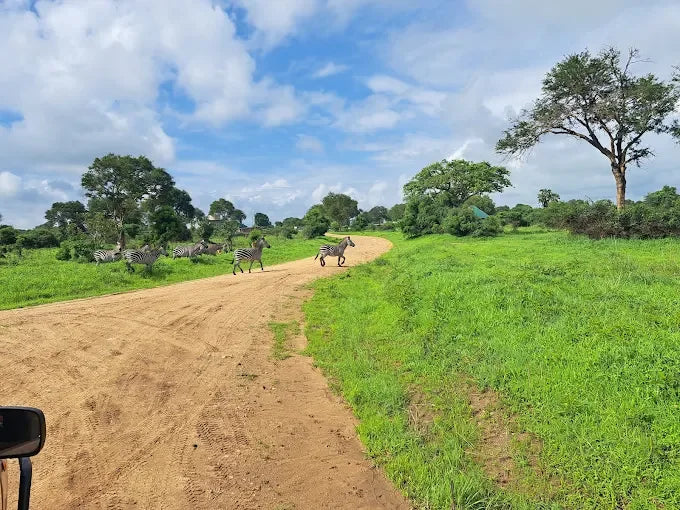 Från Dar es Salaam: Privat dagsturssafari till Mikumi nationalpark