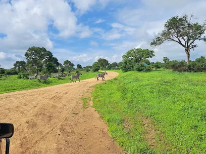 Från Dar es Salaam: Privat dagsturssafari till Mikumi nationalpark