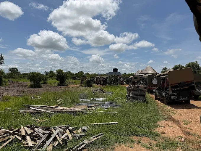 Från Dar es Salaam: Privat dagsturssafari till Mikumi nationalpark