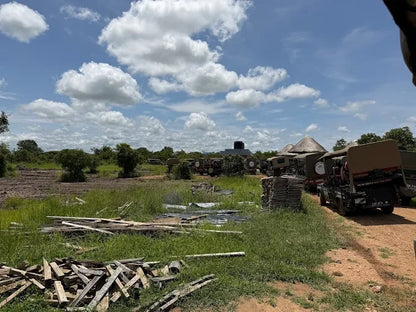 Från Dar es Salaam: Privat dagsturssafari till Mikumi nationalpark