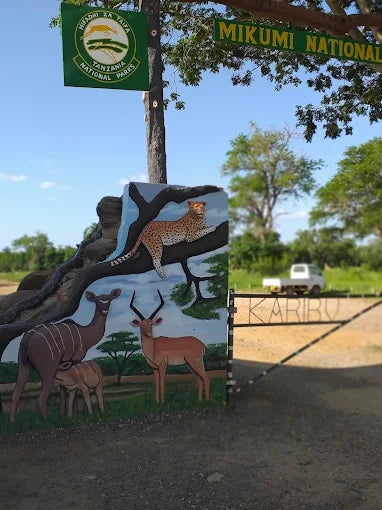 Från Dar es Salaam: Privat dagsturssafari till Mikumi nationalpark