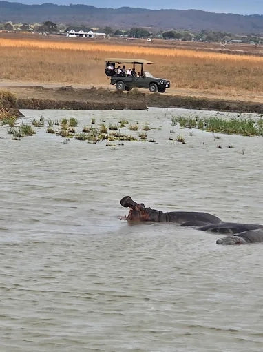 Från Dar es Salaam: Privat dagsturssafari till Mikumi nationalpark