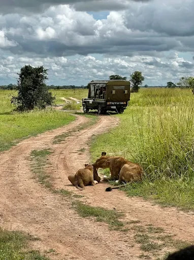 Från Dar es Salaam: Privat dagsturssafari till Mikumi nationalpark