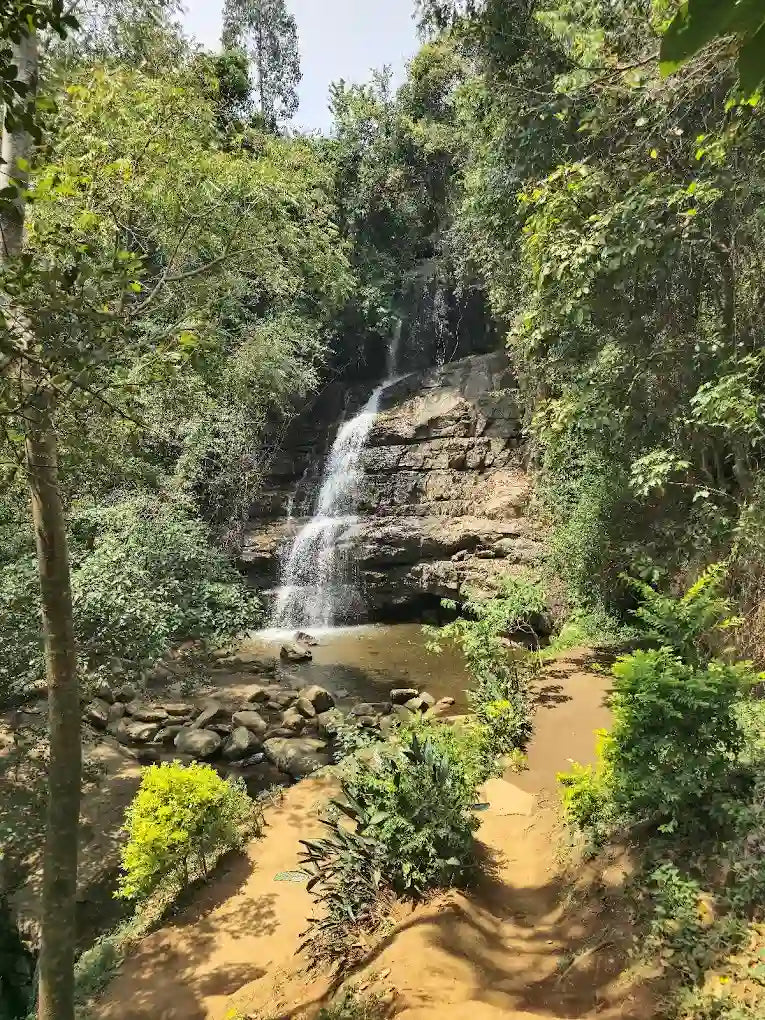 From Dar es Salaam: Safari privato di un giorno al Parco Nazionale di Mikumi