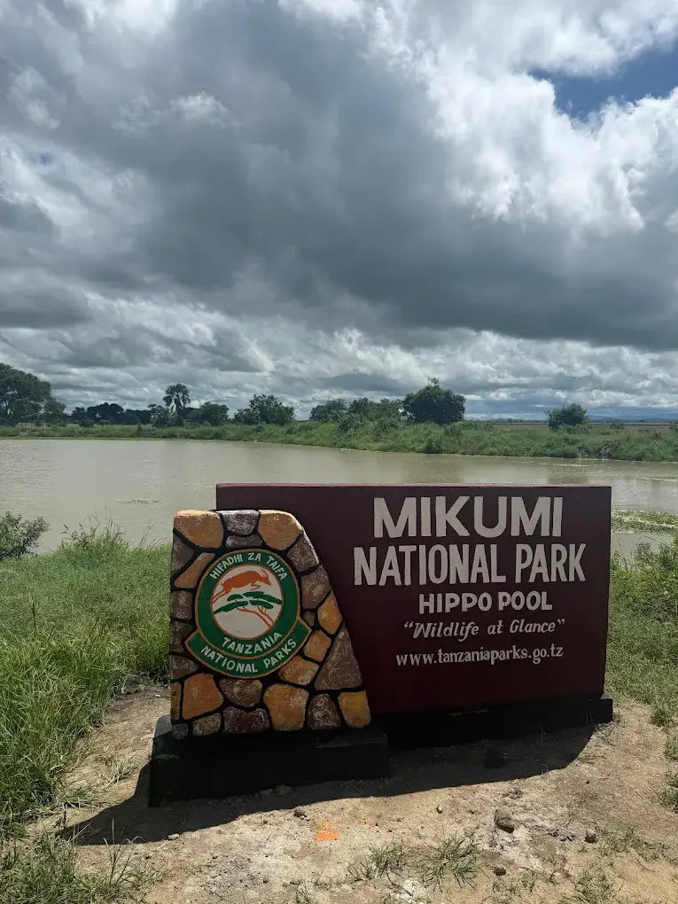 From Dar es Salaam: Safari privato di un giorno al Parco Nazionale di Mikumi