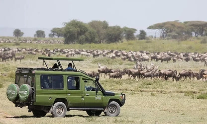 From Dar es Salaam: Safari privato di un giorno al Parco Nazionale di Mikumi