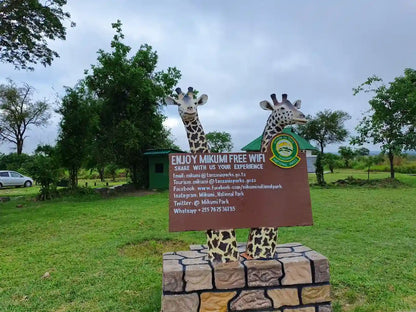 From Dar es Salaam: Safari privato di un giorno al Parco Nazionale di Mikumi