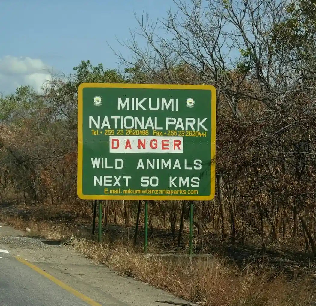 From Dar es Salaam: Safari privato di un giorno al Parco Nazionale di Mikumi