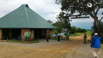 From Dar es Salaam: Safari privato di un giorno al Parco Nazionale di Mikumi