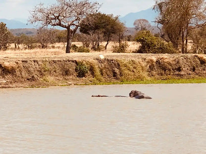 From Dar es Salaam: Safari privato di un giorno al Parco Nazionale di Mikumi